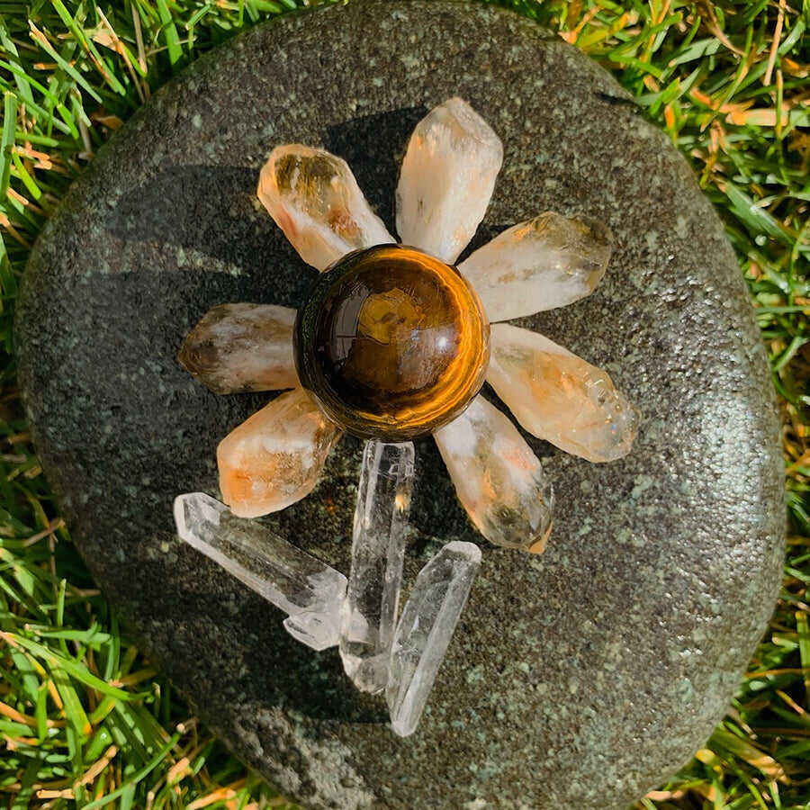 Citrine Tiger's Eye Crystal Mini Flower Power Set 🌼