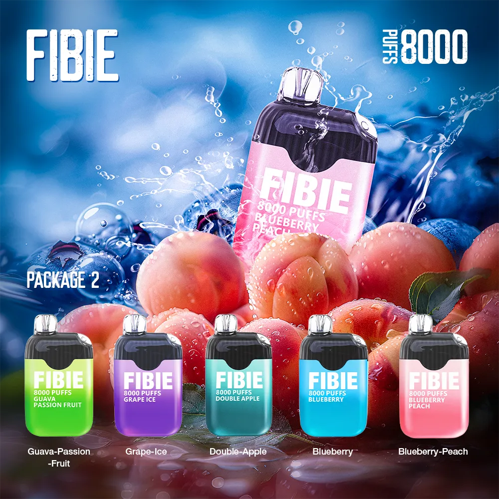 Blueberry - FIBIE 8000 PUFFS Disposable Vape