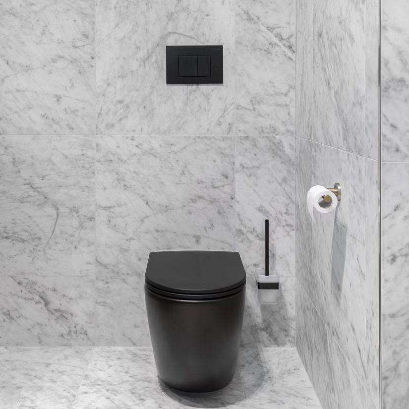 Fienza Koko Concealed Wall Faced Toilet Suite