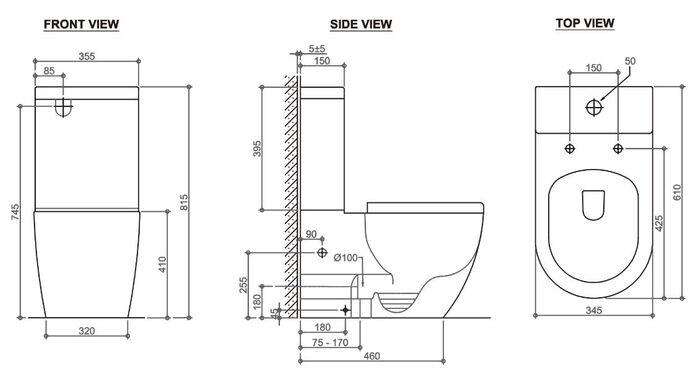 Deluso Rimless Back To Wall Toilet