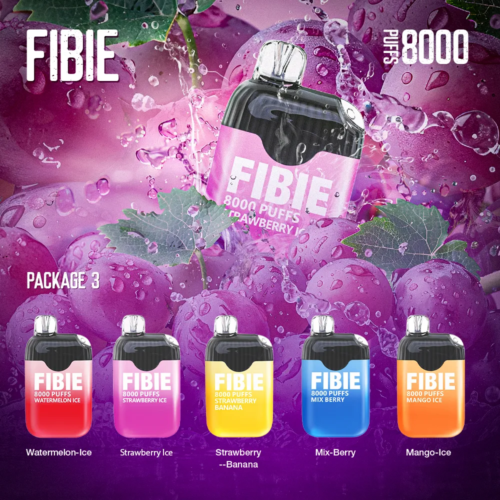 Blueberry - FIBIE 8000 PUFFS Disposable Vape