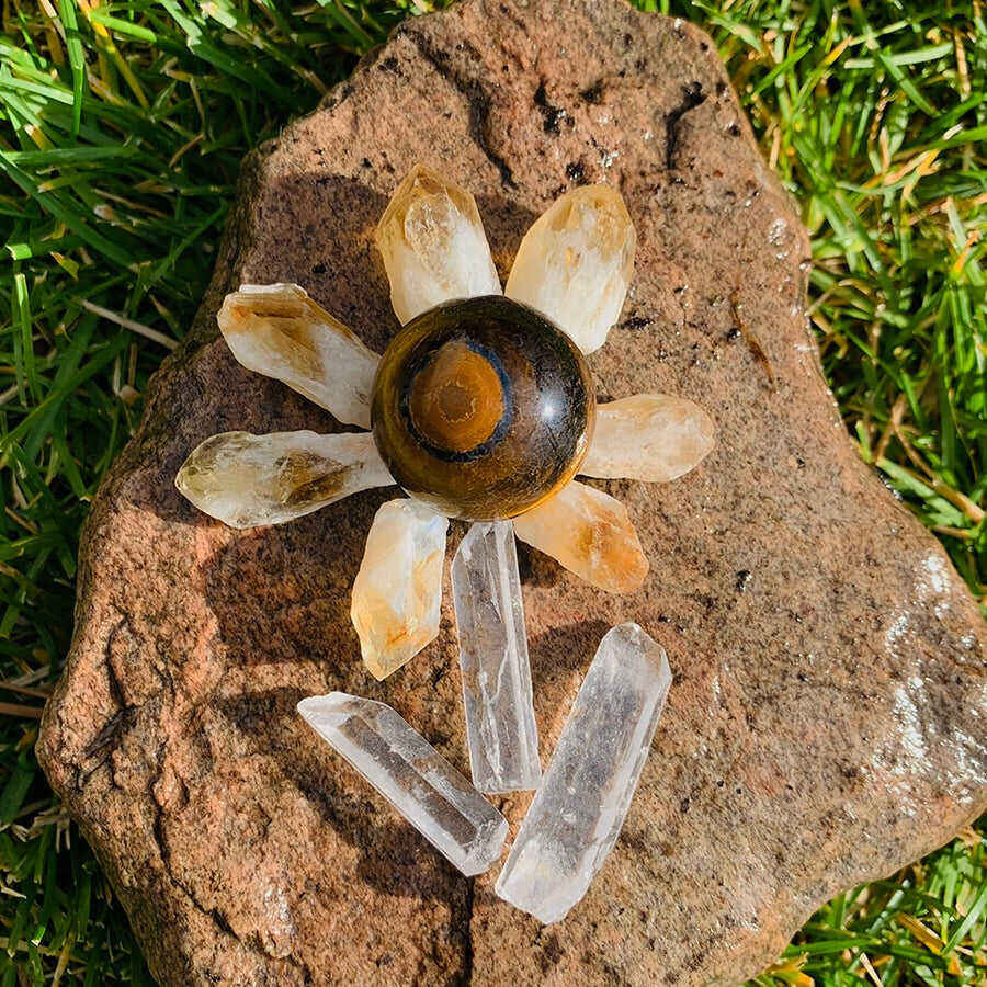 Citrine Tiger's Eye Crystal Mini Flower Power Set 🌼