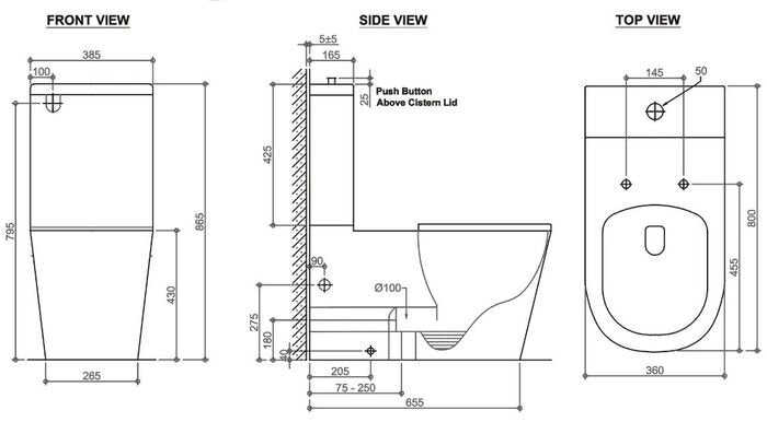 Wellness Care Rimless Back To Wall Toilet