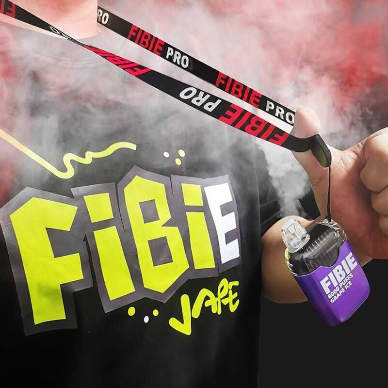 Blueberry - FIBIE 8000 PUFFS Disposable Vape