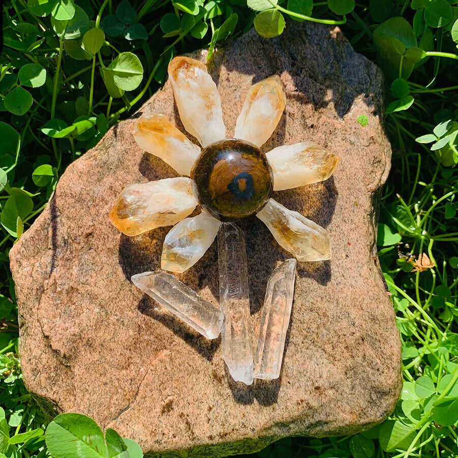 Citrine Tiger's Eye Crystal Mini Flower Power Set 🌼