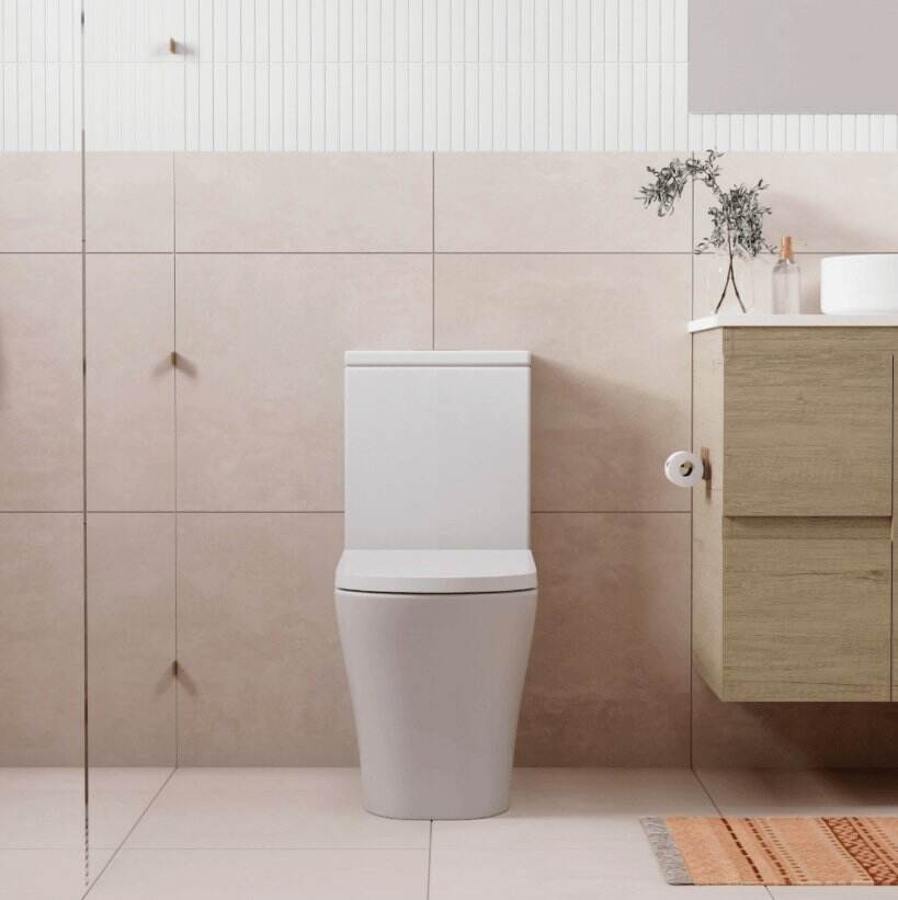 Fienza Luciana Back To Wall Toilet Suite