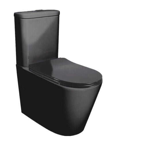 Feanza Tornado Back to Wall Toilet Suite-Matte Black